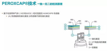 能够准确检测无菌过程中过氧化氢浓度的传感器技术是什么样子